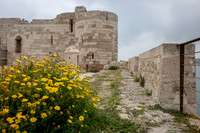 Ortigia - Maniace Castle -2