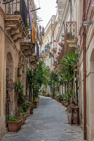 Ortigia Street -5