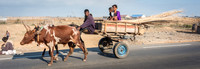 Ox Cart Toliara -2
