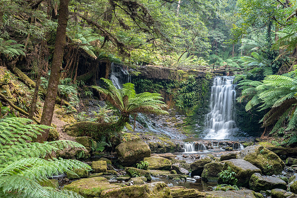 Russel Falls - 3