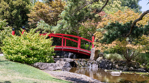Japanese Garden, Royal Tasmanian Botanical Gardens - 6
