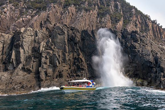 Bruny Island Cliffs -8