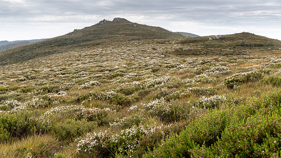 Vale of Belvoir -3