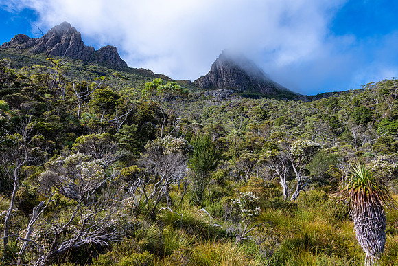 Cradle Mountain-Lake St Clair National Park -12