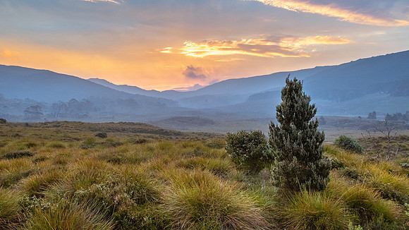 Cradle Mountain-Lake St Clair National Park -3