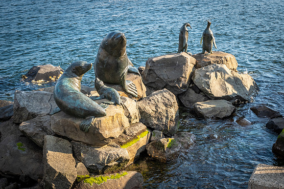 Wildlife Sculpture at Franklin's Wharf