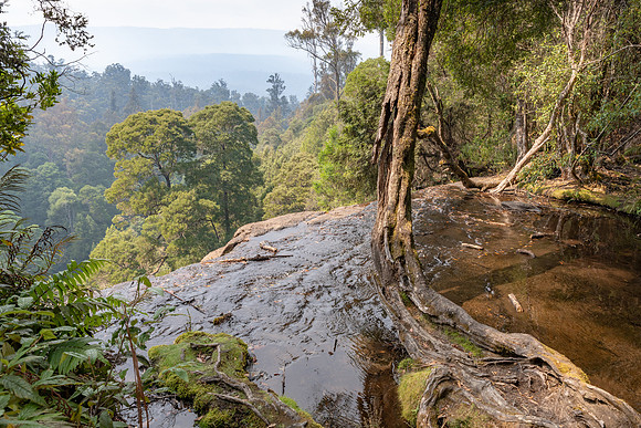 Russel Falls - 4