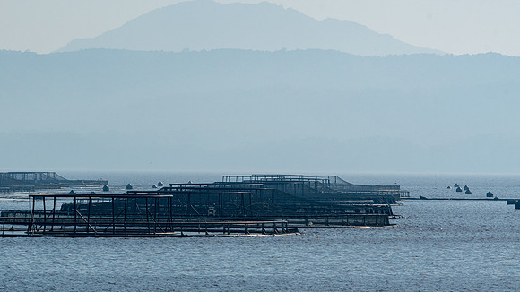 Salmon Cages, Macquarie Harbour