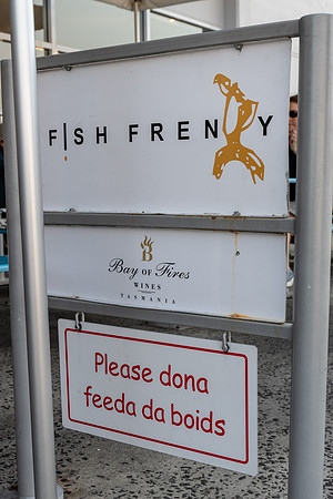Funny sign