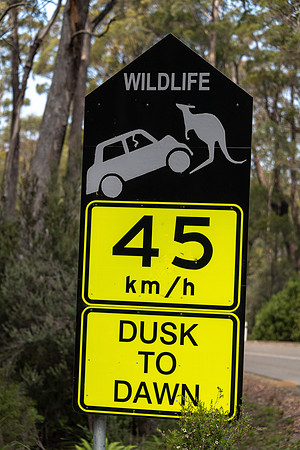 Road Sign