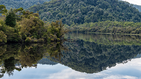 Gordon River Reflections -2