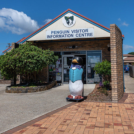 Penguin -3