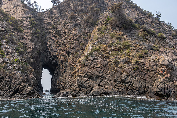 Bruny Island Cliffs -10