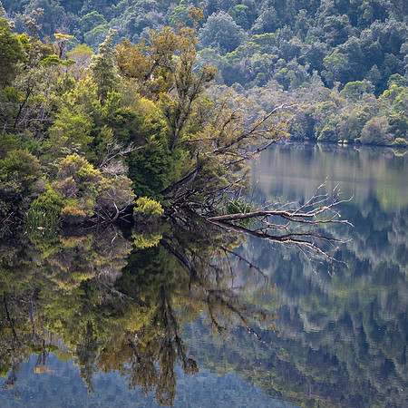 Gordon River Reflections -3