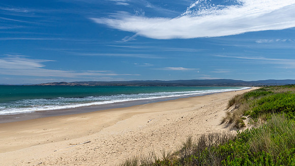 Dolphin Sands