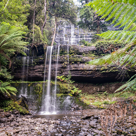 Russel Falls - 1