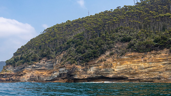 Bruny Island Cliffs -12