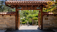 Japanese Garden, Royal Tasmanian Botanical Gardens - 1