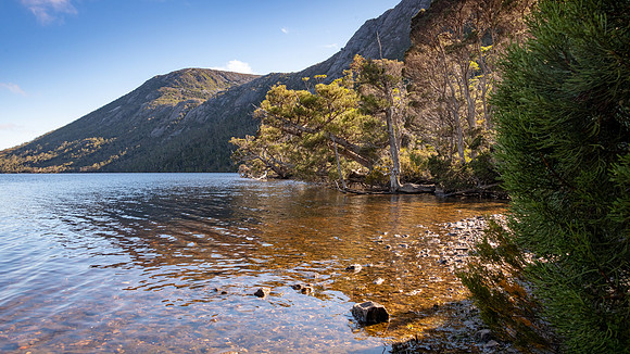 Cradle Mountain-Lake St Clair National Park - Dove Lake -13