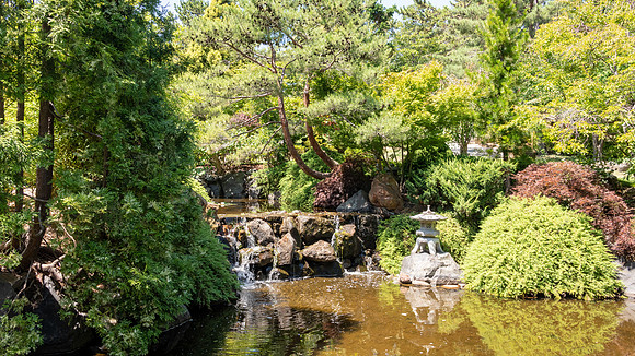 Japanese Garden, Royal Tasmanian Botanical Gardens - 3