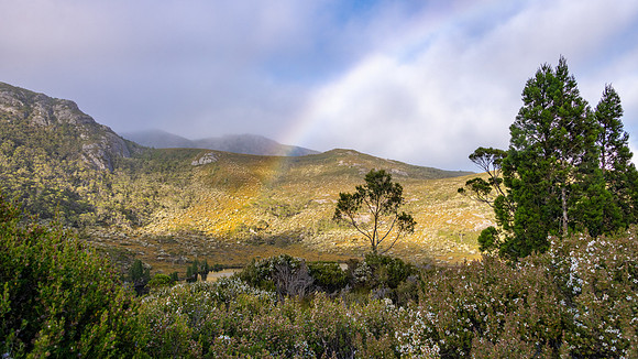 Cradle Mountain-Lake St Clair National Park -5