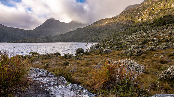 Cradle Mountain-Lake St Clair National Park - Dove Lake -8