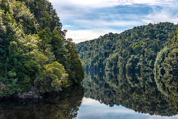Gordon River Reflections -1