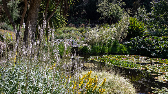 Royal Tasmanian Botanical Gardens - 3