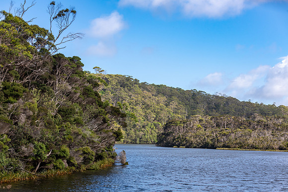 Arthur River