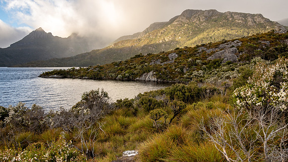 Cradle Mountain-Lake St Clair National Park -4