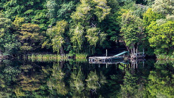 Gordon River Reflections -4