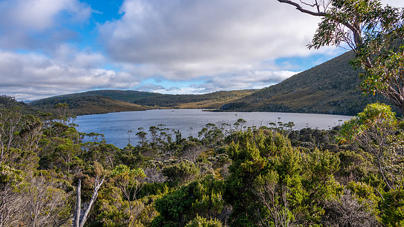 Cradle Mountain-Lake St Clair National Park - Dove Lake -10