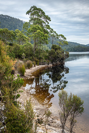 Lake Roseberry -3