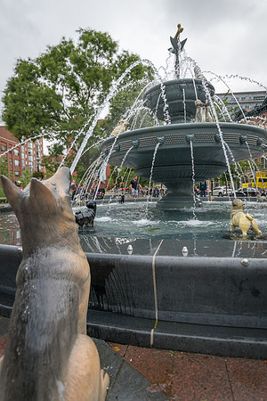 Dog Fountain at Berczy Park -2
