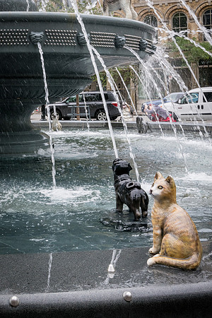 Dog Fountain at Berczy Park -4