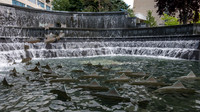Bobbie Rosenfeld Park and Sculpture