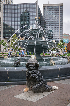 Dog Fountain at Berczy Park -6