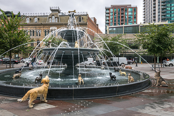 Dog Fountain at Berczy Park -3