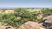 Serengeti View -1