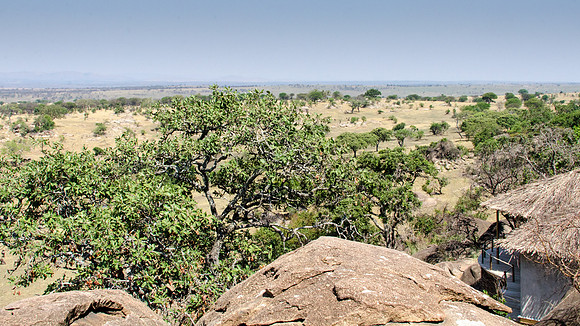 Serengeti View -1