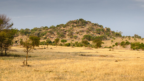 Lamai Serengeti -1
