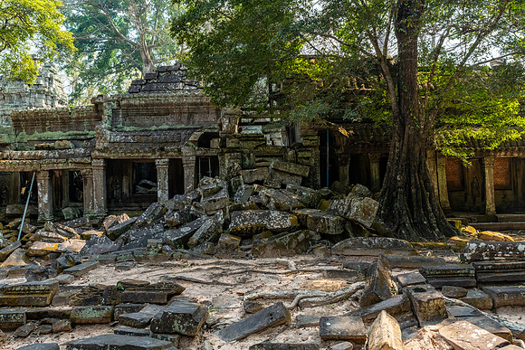 Ta Prohm Temple -3