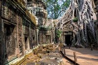 Ta Prohm Temple -20