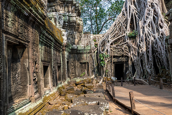 Ta Prohm Temple -20