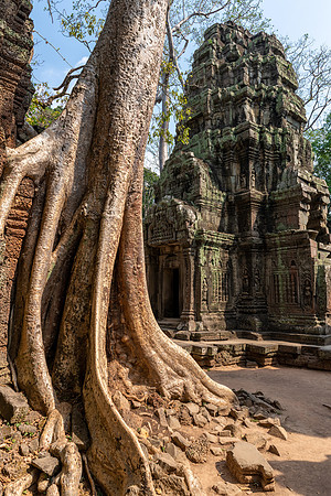 Ta Prohm Temple -6