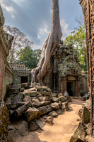 Ta Prohm Temple -11