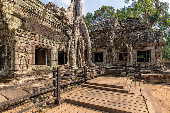 Ta Prohm Temple -34