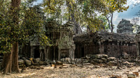 Ta Prohm Temple -12