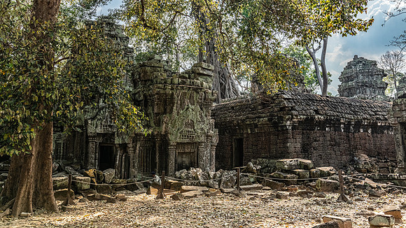 Ta Prohm Temple -12