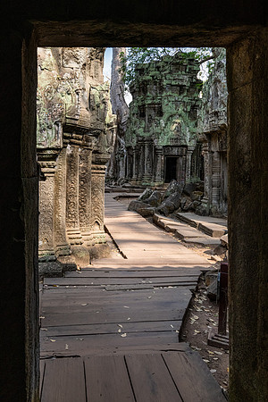 Ta Prohm Temple -16